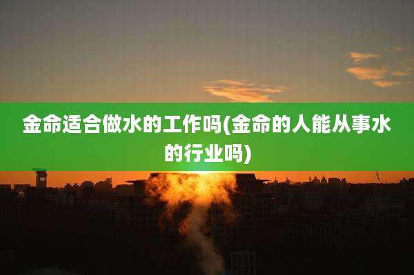 金命适合做水的工作吗(金命的人能从事水的行业吗)