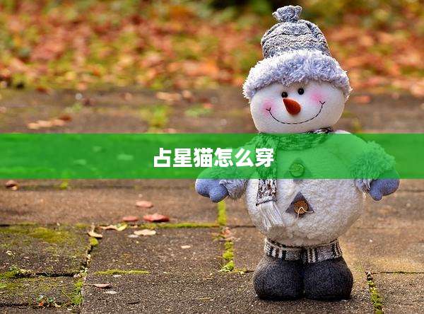 占星猫怎么穿