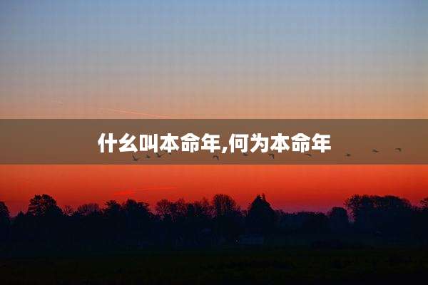 什幺叫本命年,何为本命年