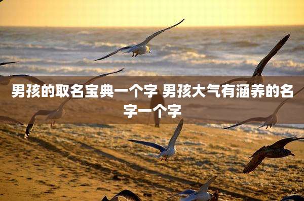 男孩的取名宝典一个字 男孩大气有涵养的名字一个字