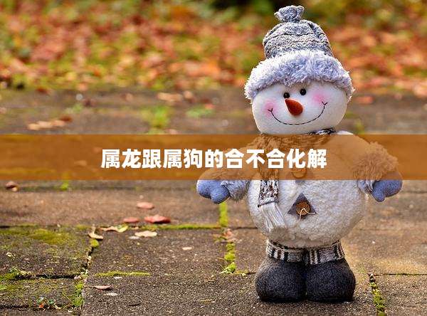 属龙跟属狗的合不合化解
