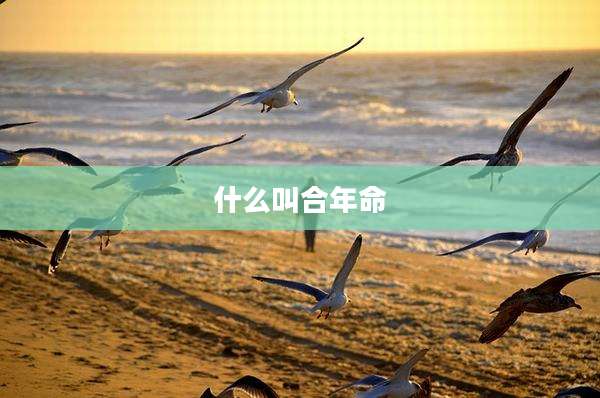 什么叫合年命