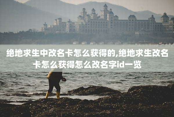 绝地求生中改名卡怎么获得的,绝地求生改名卡怎么获得怎么改名字id一览
