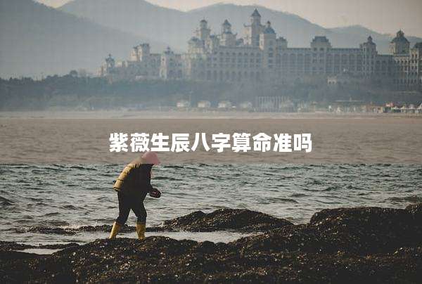 紫薇生辰八字算命准吗