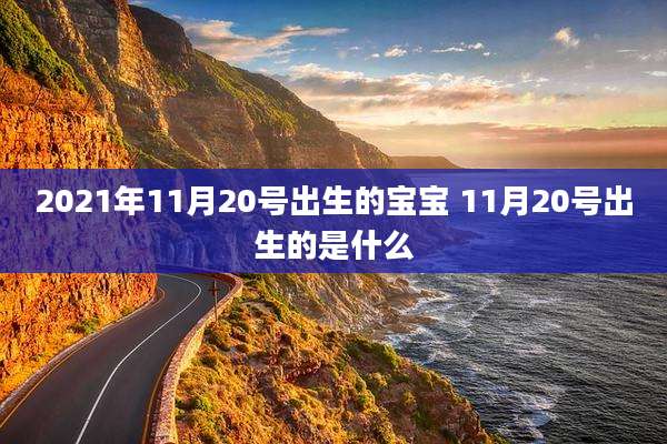 2021年11月20号出生的宝宝 11月20号出生的是什么
