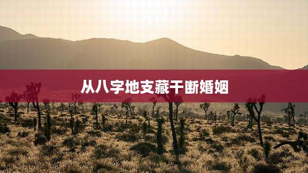从八字地支藏干断婚姻