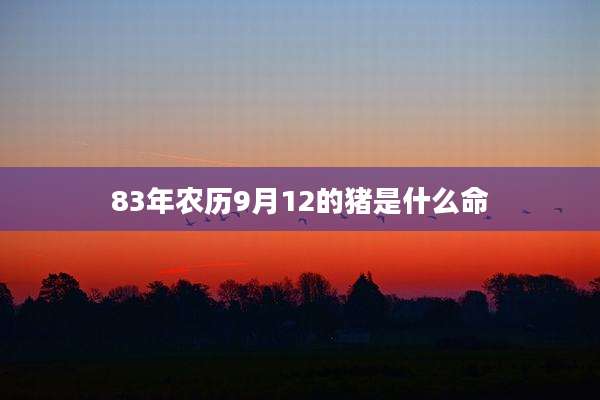 83年农历9月12的猪是什么命