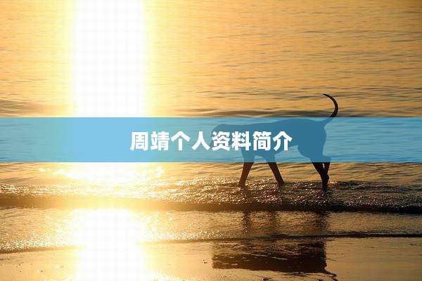 周靖个人资料简介