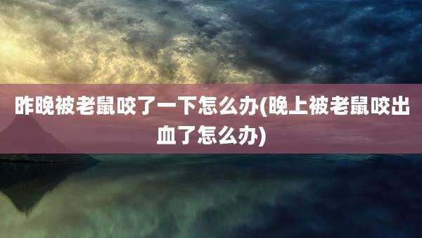 昨晚被老鼠咬了一下怎么办(晚上被老鼠咬出血了怎么办)