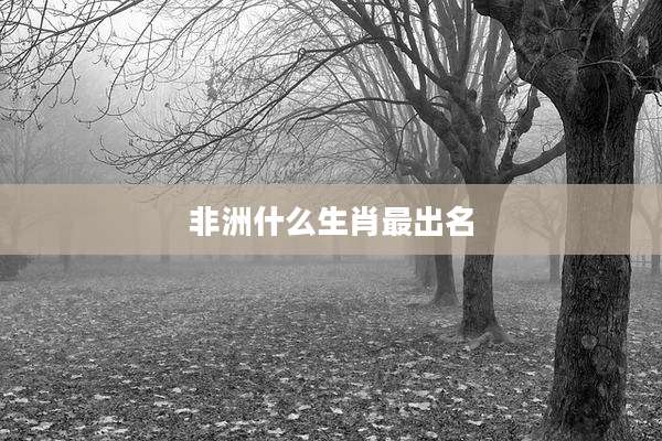非洲什么生肖最出名
