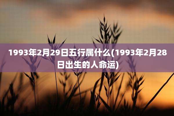 1993年2月29日五行属什么(1993年2月28日出生的人命运)