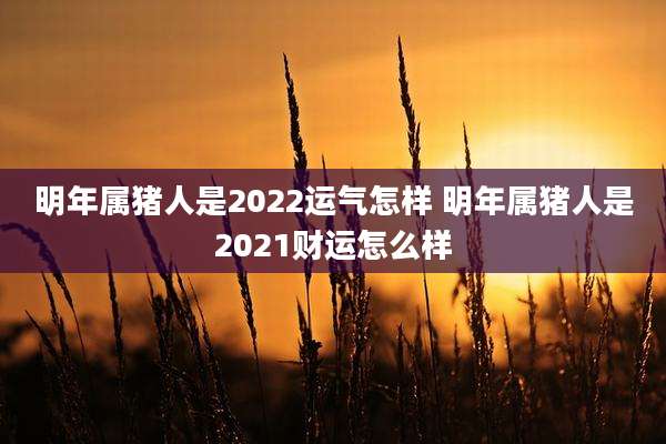 明年属猪人是2022运气怎样 明年属猪人是2021财运怎么样