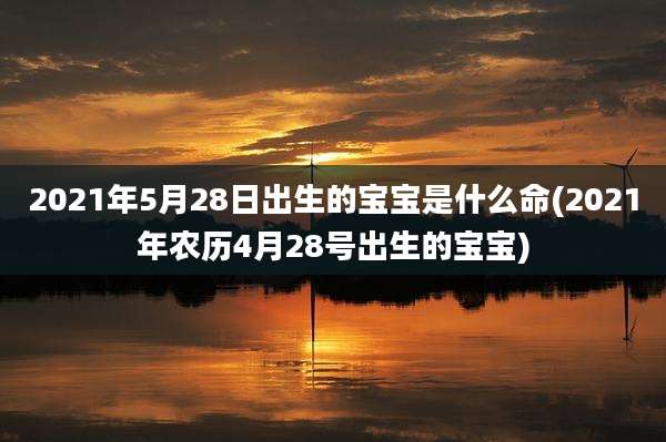 2021年5月28日出生的宝宝是什么命(2021年农历4月28号出生的宝宝)