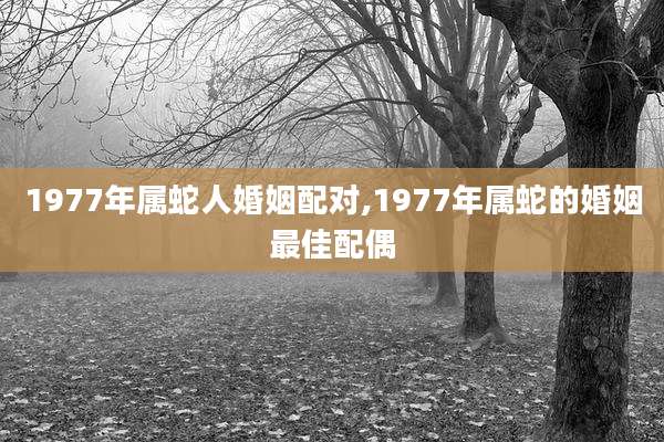 1977年属蛇人婚姻配对,1977年属蛇的婚姻最佳配偶