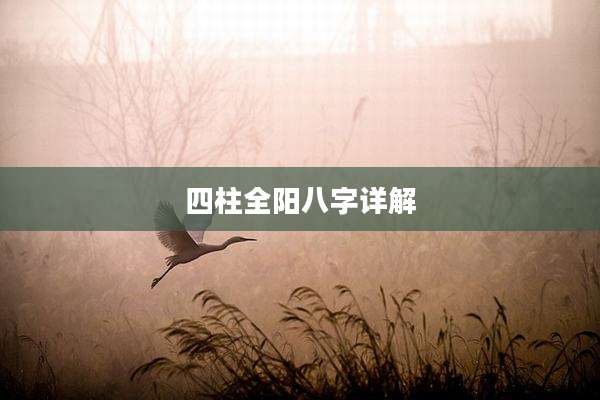 四柱全阳八字详解
