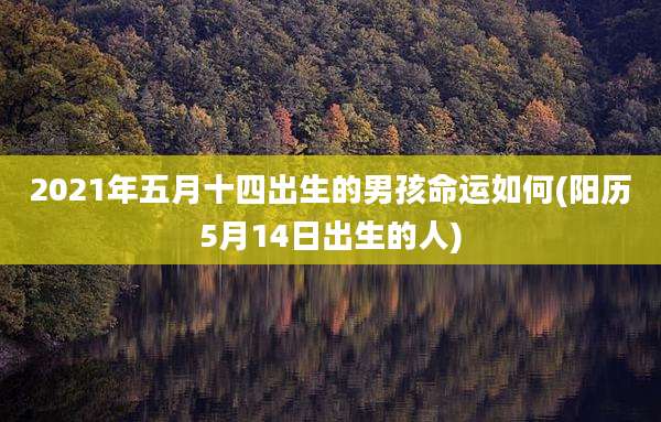 2021年五月十四出生的男孩命运如何(阳历5月14日出生的人)