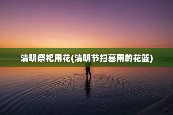 清明祭祀用花(清明节扫墓用的花篮)