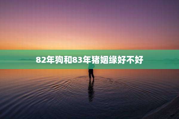 82年狗和83年猪姻缘好不好