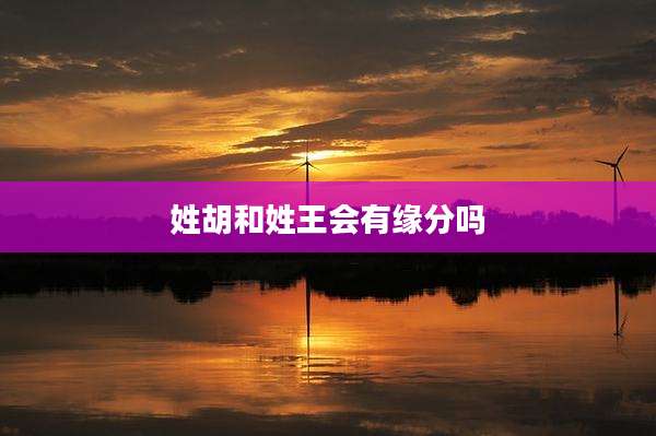 姓胡和姓王会有缘分吗