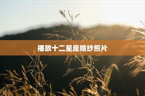 播放十二星座婚纱照片
