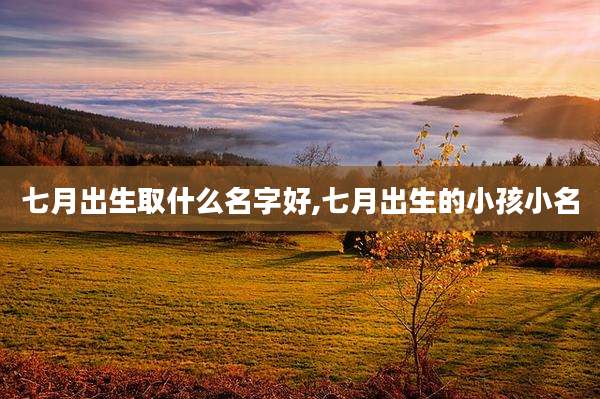 七月出生取什么名字好,七月出生的小孩小名