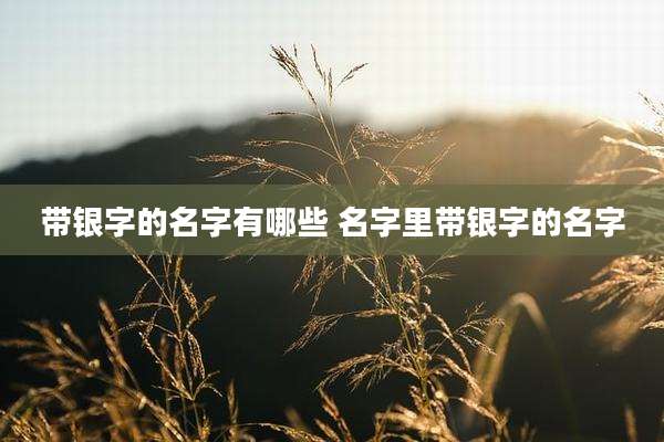 带银字的名字有哪些 名字里带银字的名字