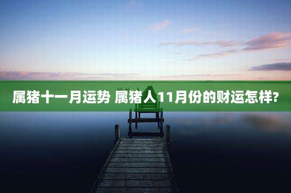 属猪十一月运势 属猪人11月份的财运怎样?