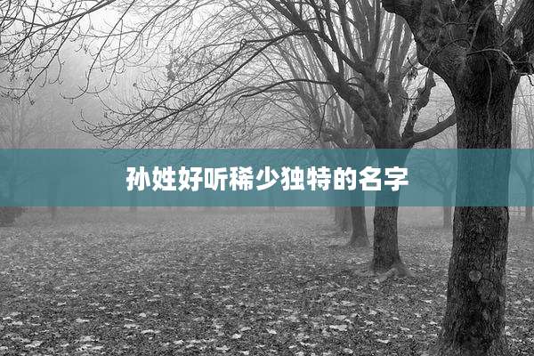 孙姓好听稀少独特的名字