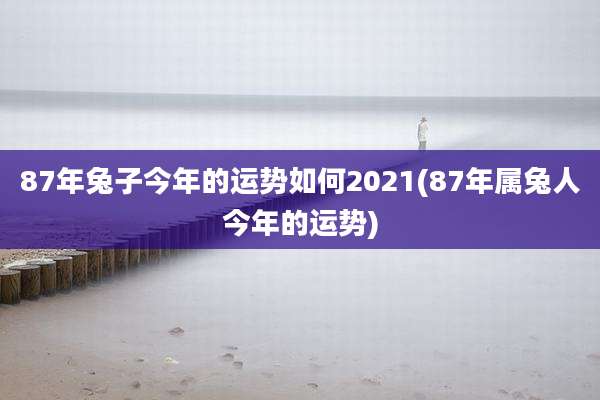 87年兔子今年的运势如何2021(87年属兔人今年的运势)