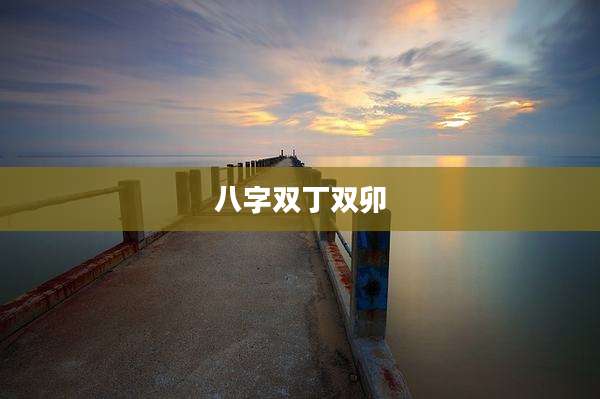 八字双丁双卯