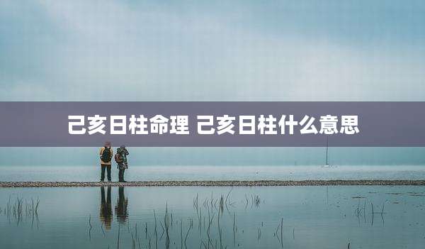 己亥日柱命理 己亥日柱什么意思