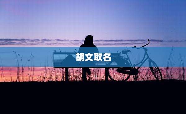 胡文取名