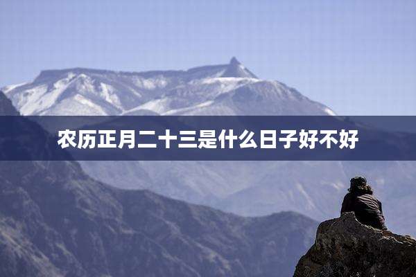 农历正月二十三是什么日子好不好