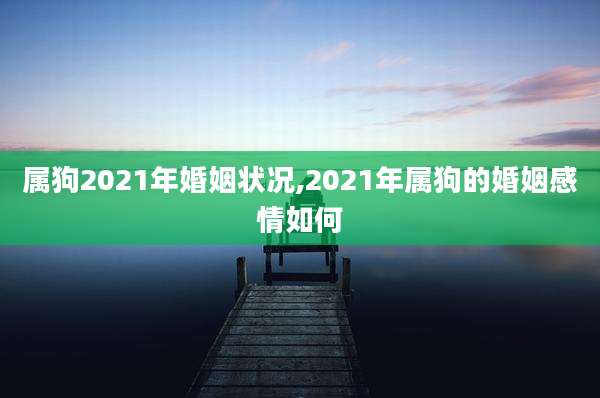 属狗2021年婚姻状况,2021年属狗的婚姻感情如何