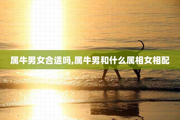 属牛男女合适吗,属牛男和什么属相女相配