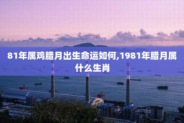 81年属鸡腊月出生命运如何,1981年腊月属什么生肖