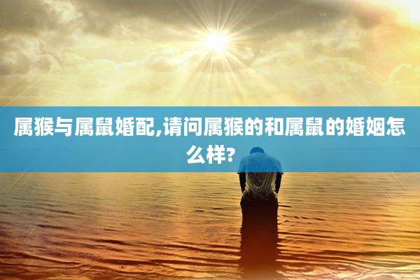 属猴与属鼠婚配,请问属猴的和属鼠的婚姻怎么样?