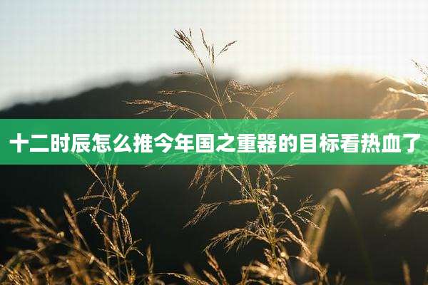 十二时辰怎么推今年国之重器的目标看热血了