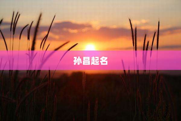 孙昌起名