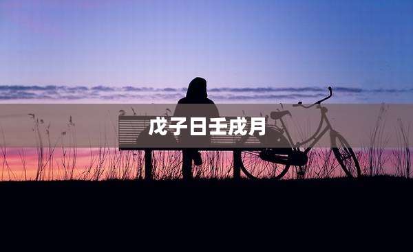 戊子日壬戌月