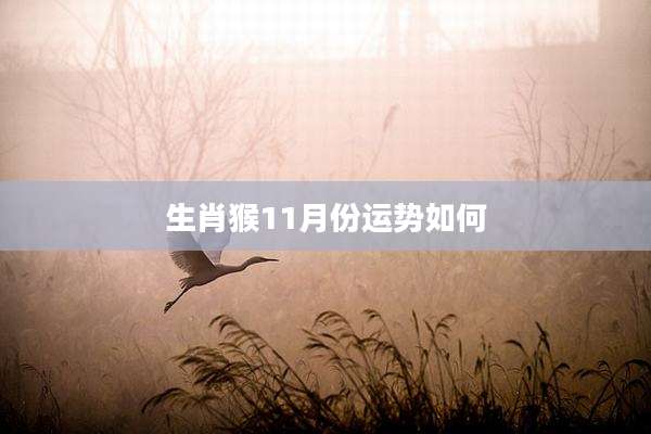 生肖猴11月份运势如何