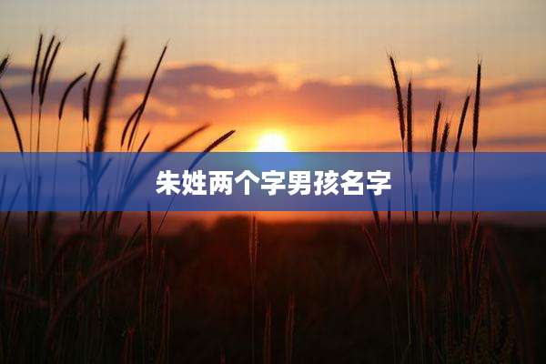 朱姓两个字男孩名字