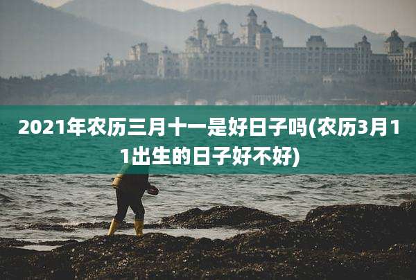 2021年农历三月十一是好日子吗(农历3月11出生的日子好不好)