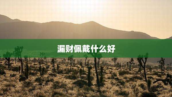 漏财佩戴什么好
