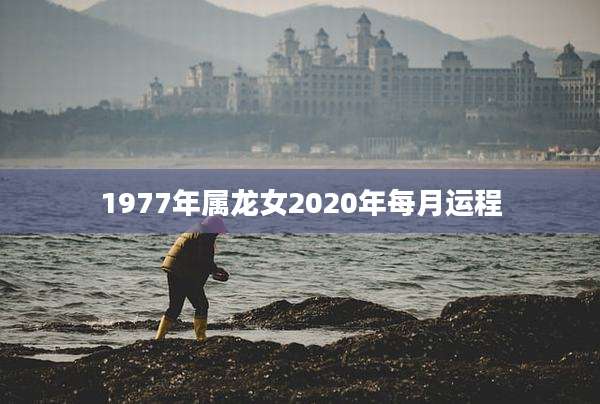 1977年属龙女2020年每月运程