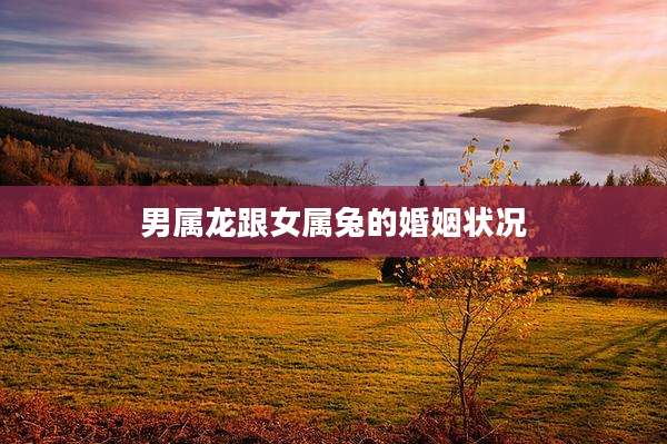 男属龙跟女属兔的婚姻状况