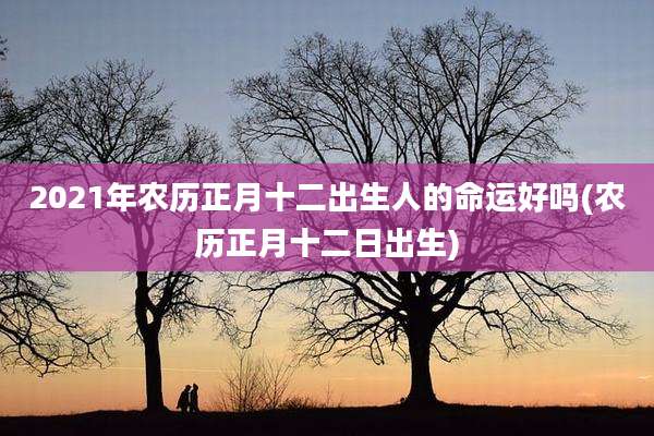 2021年农历正月十二出生人的命运好吗(农历正月十二日出生)