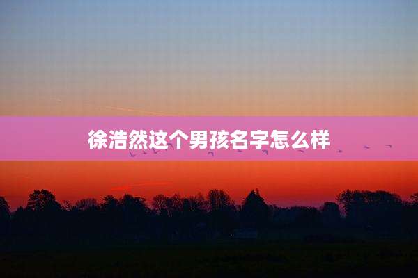 徐浩然这个男孩名字怎么样