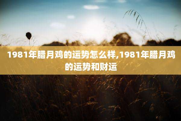 1981年腊月鸡的运势怎么样,1981年腊月鸡的运势和财运