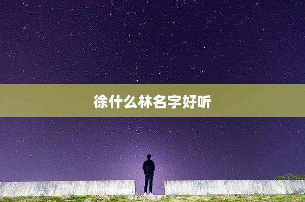 徐什么林名字好听